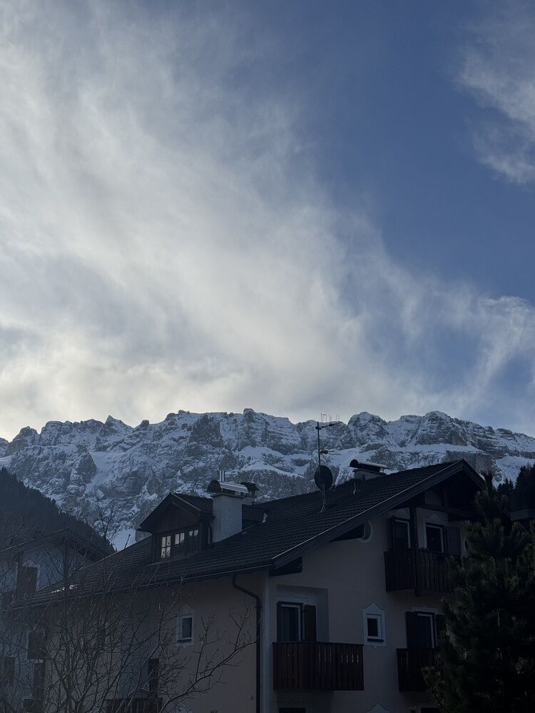 Live-update 159561