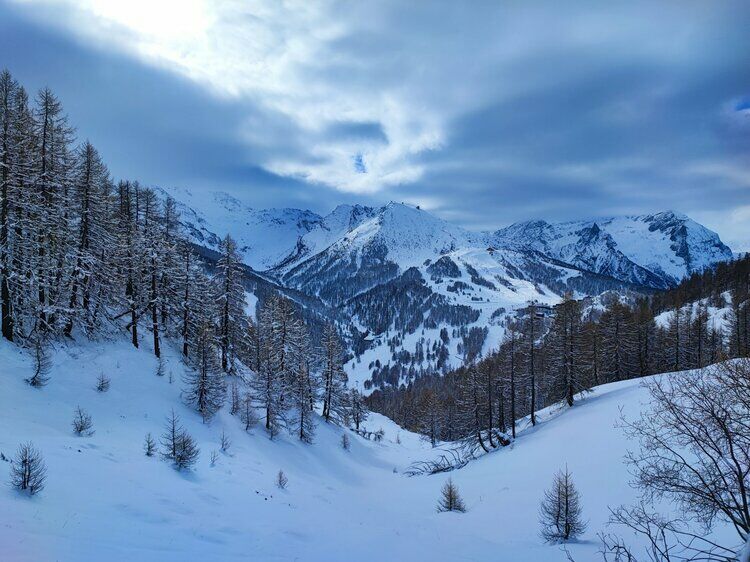 Live-update 135477