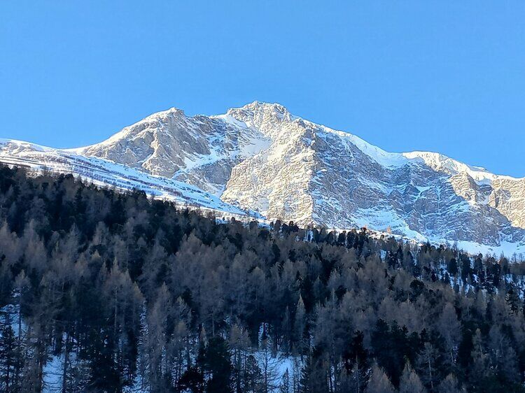 Live-update 132380