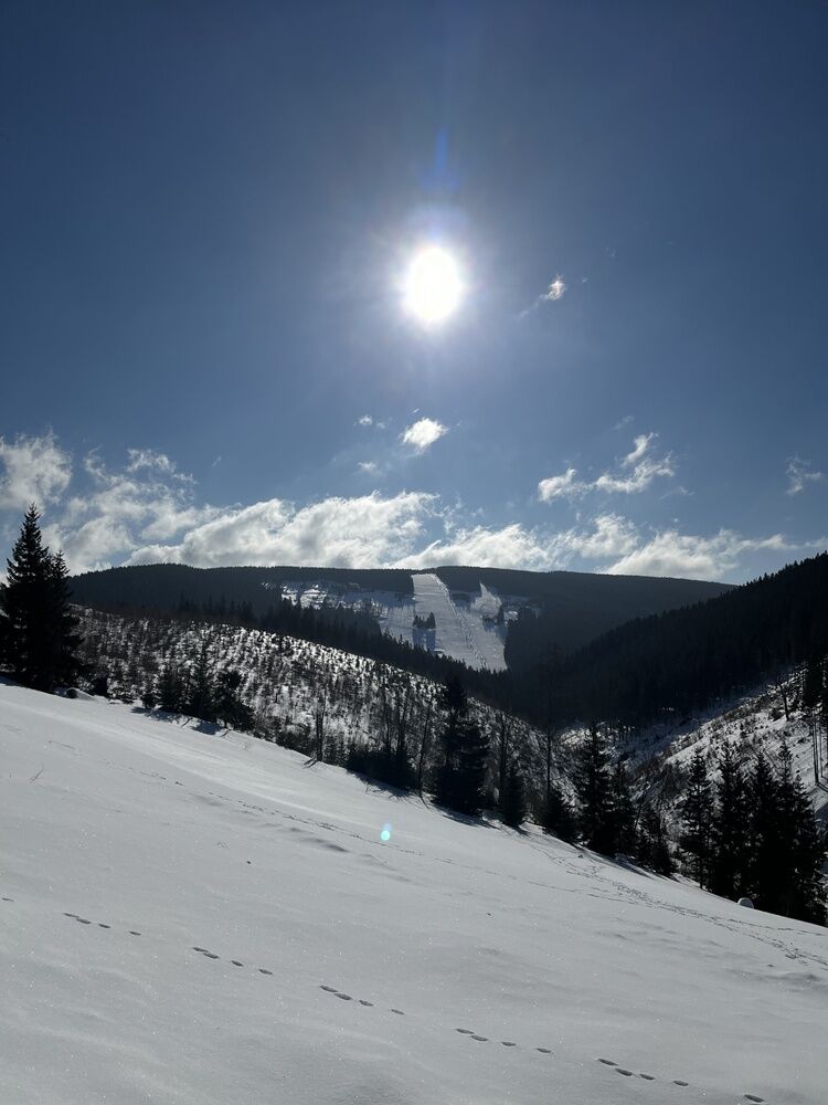Live-update 122696