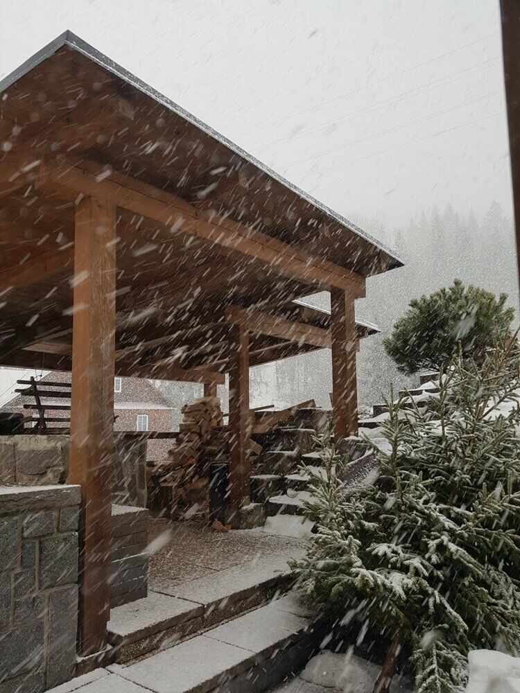 Live-update 110982