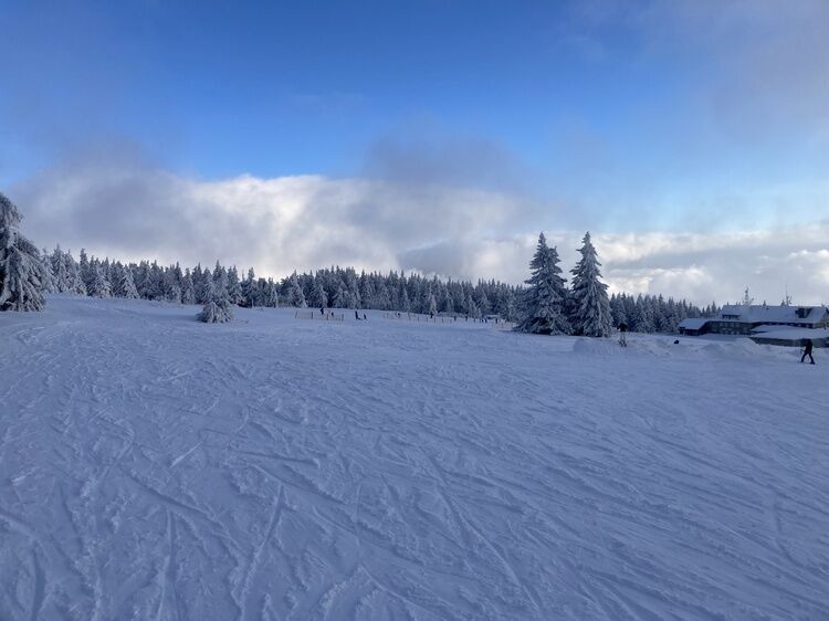 Live-update 151446