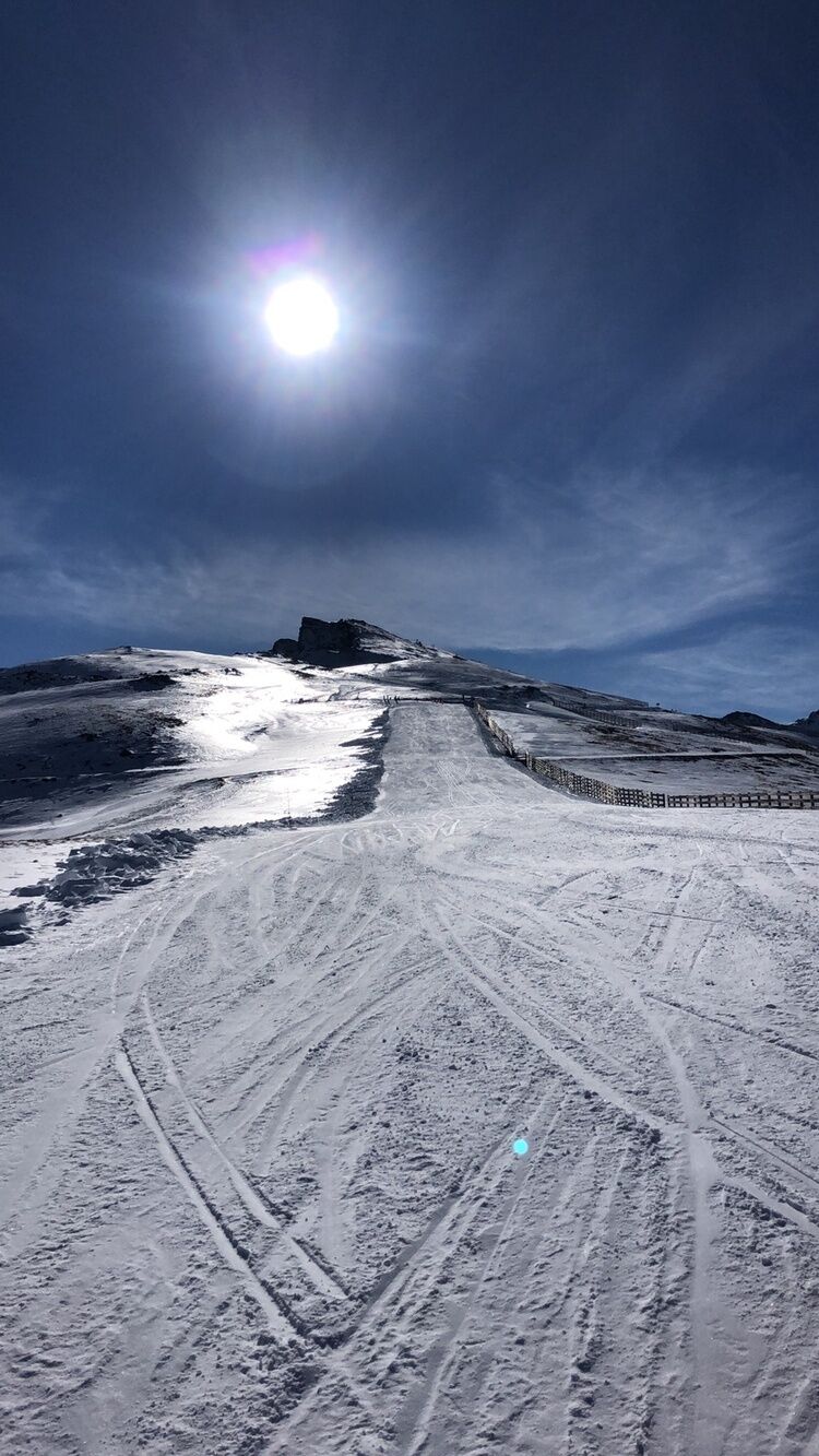 Live-update 117397