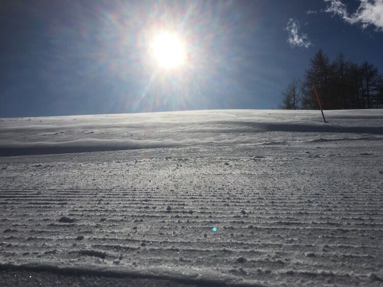 Live-update 109896