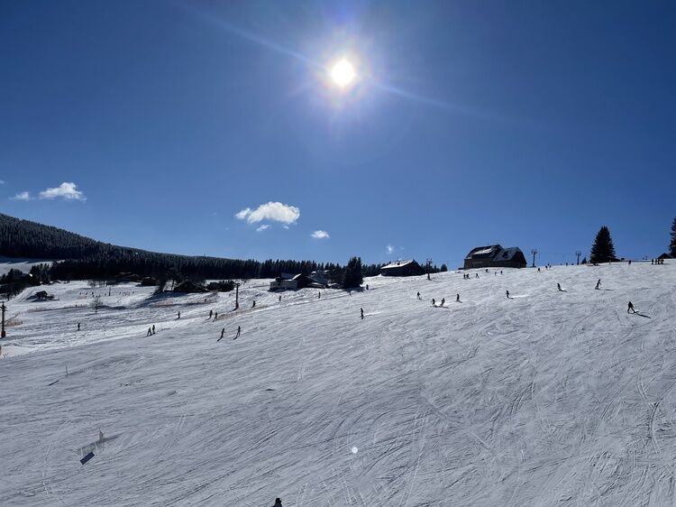 Live-update 156646