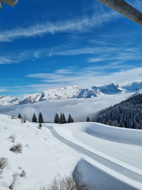 Live-update 159026