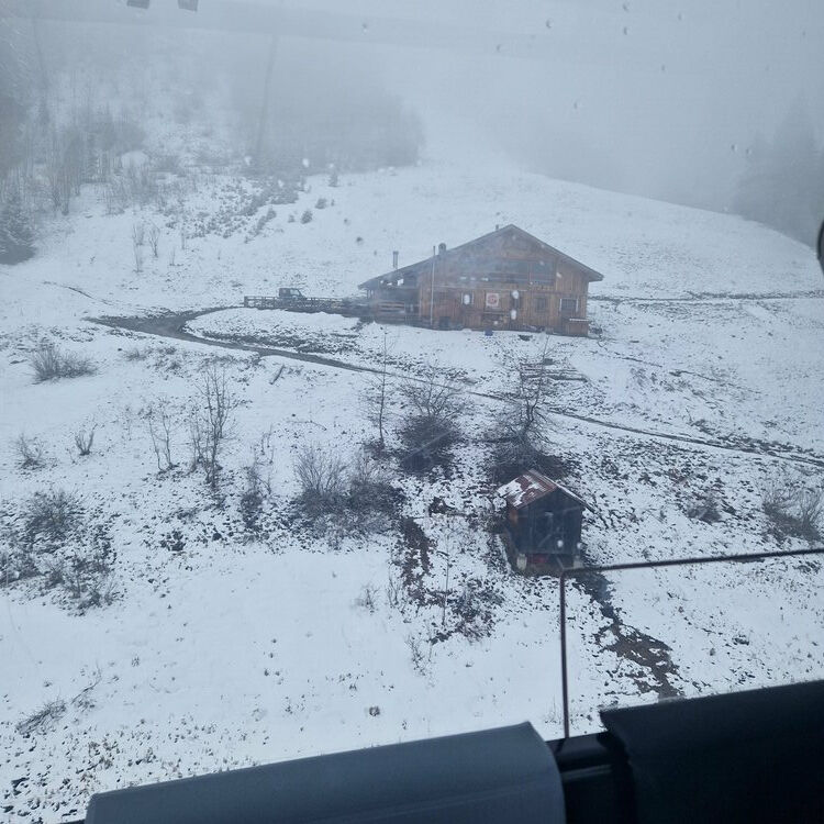 Live-update 159089