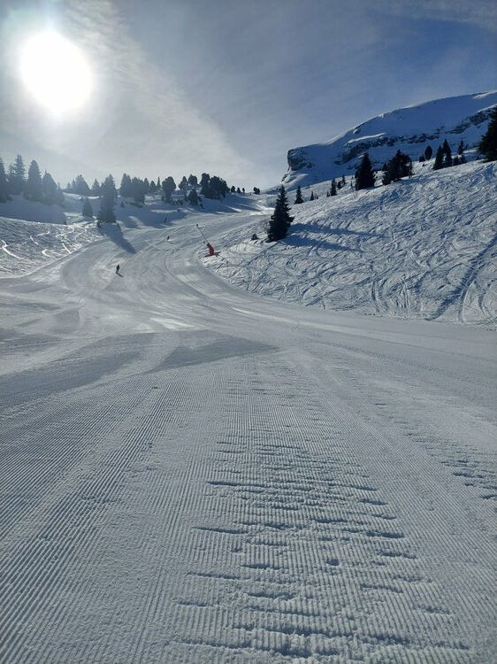 Live-update 137538