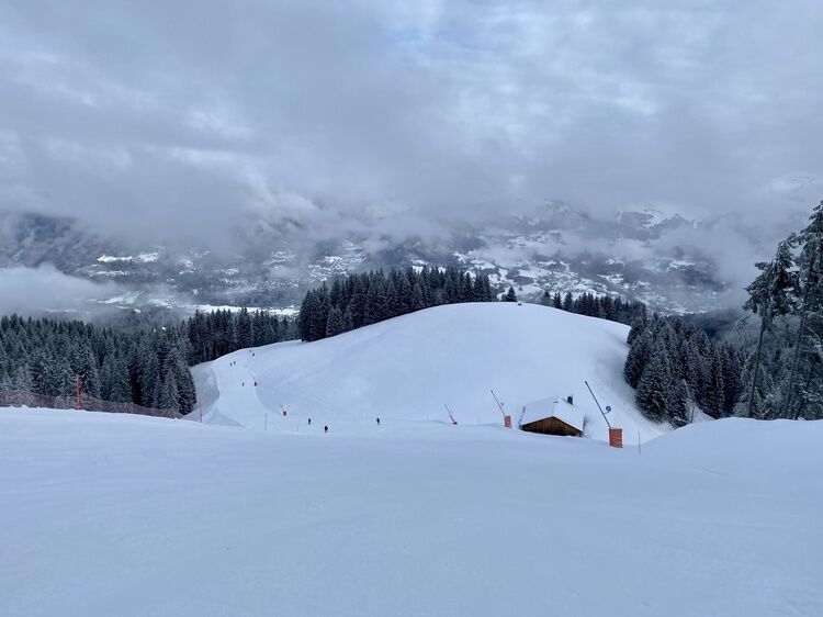 Live-update 120372