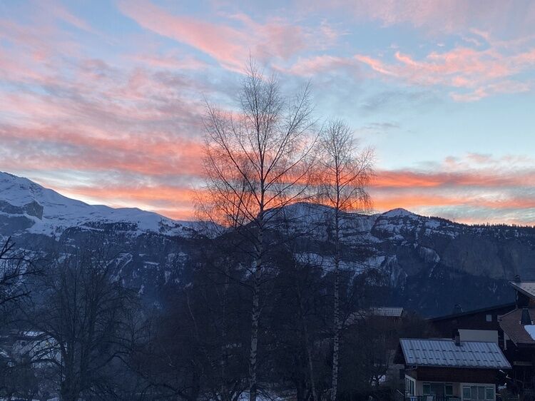 Live-update 121715