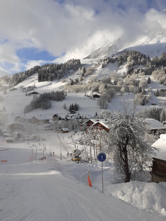 Live-update 117344
