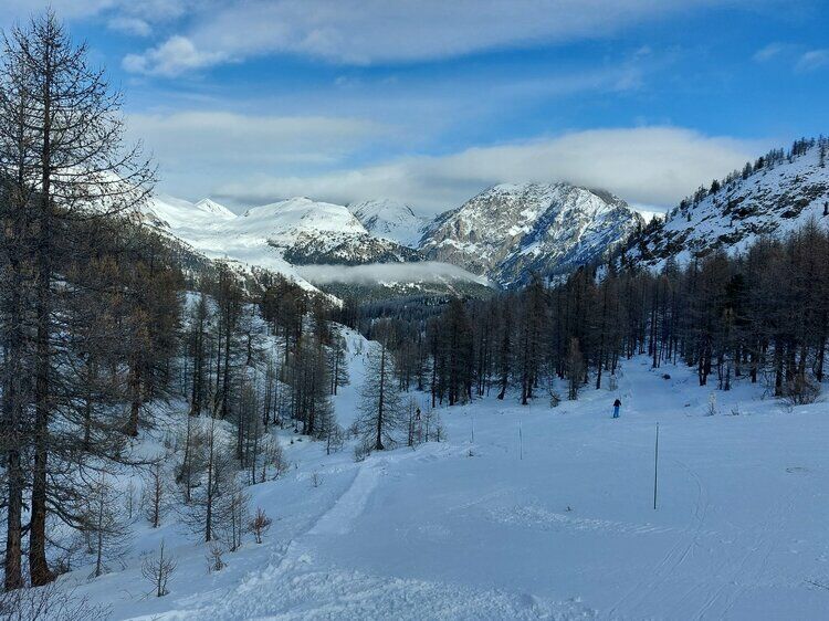 Live-update 127353
