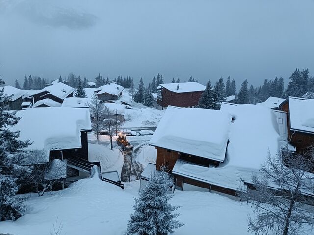 Live-update 157510