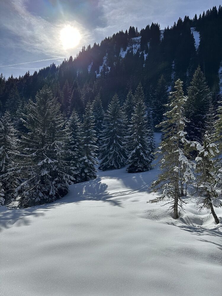 Live-update 156742