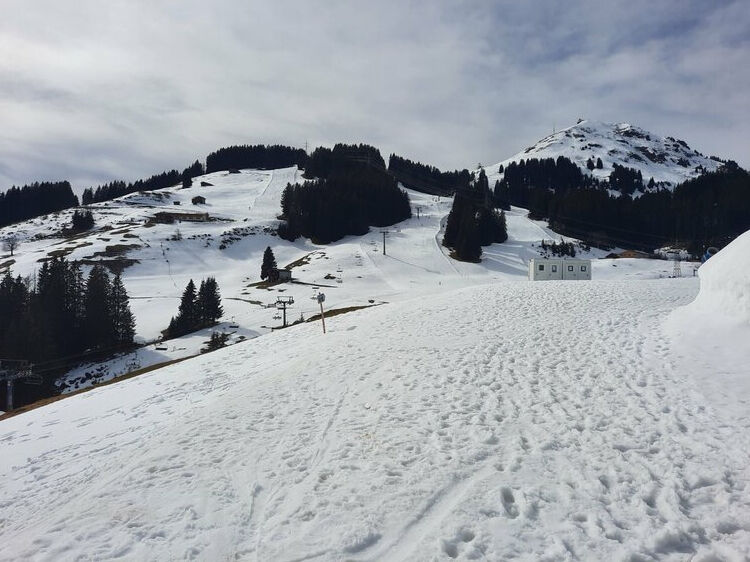 Live-update 136995