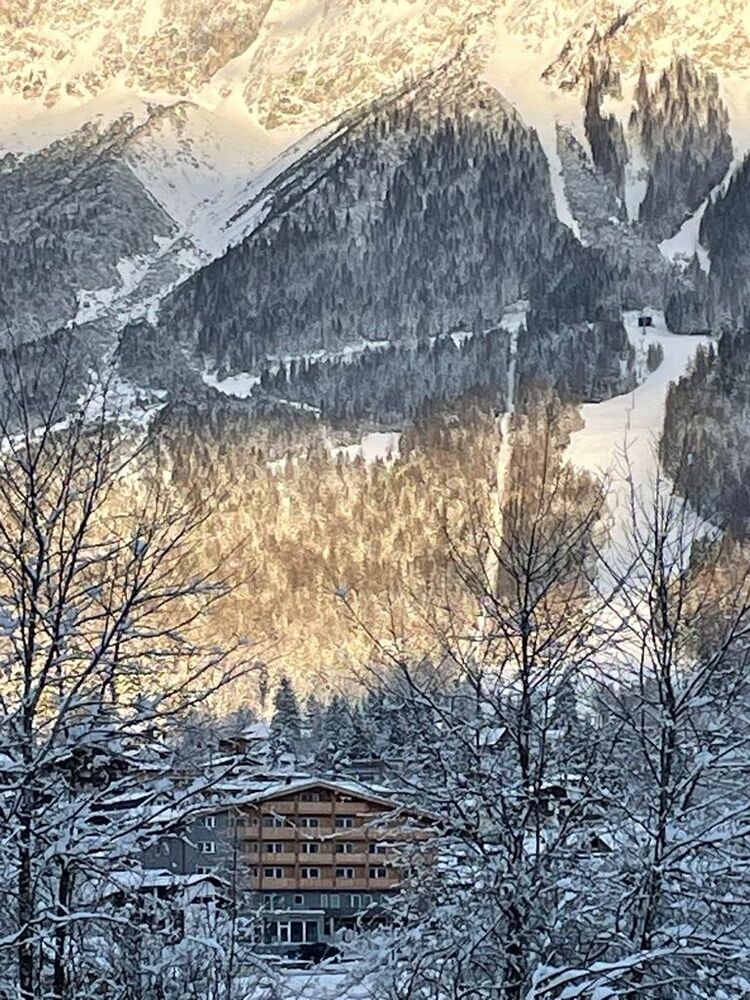 Live-update 137851
