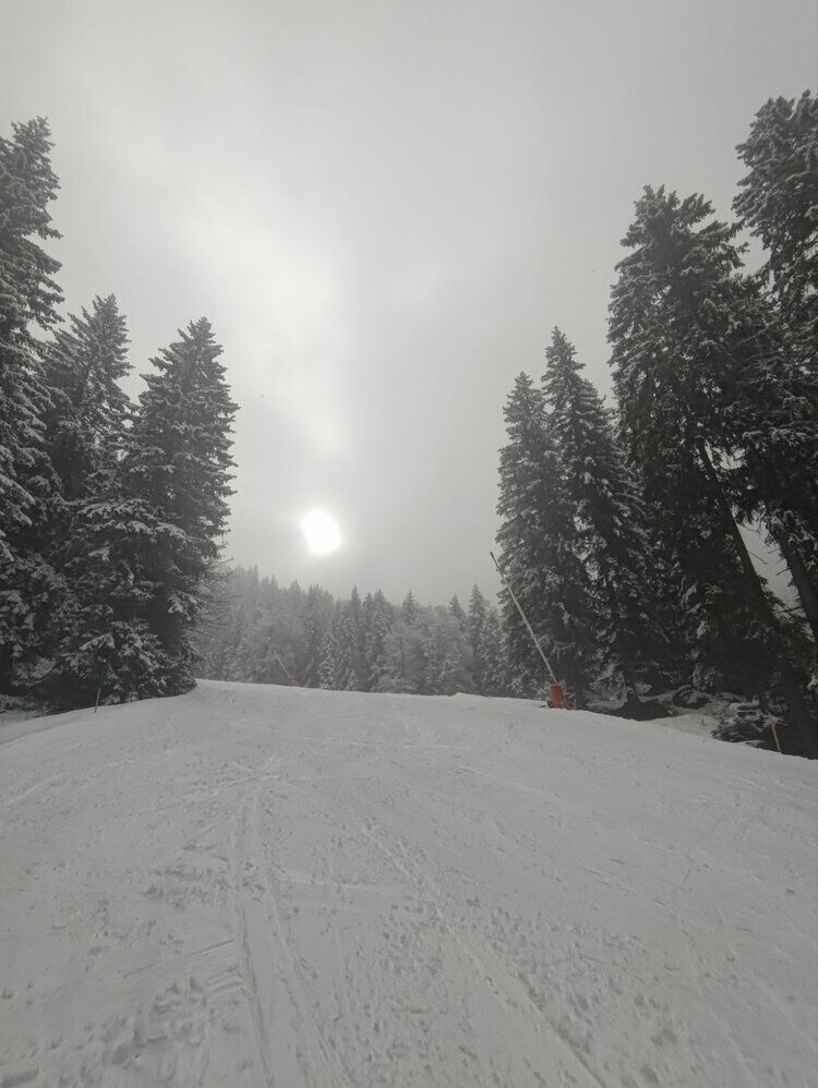 Live-update 158917