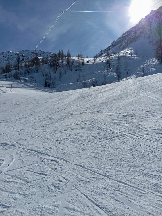 Live-update 157475