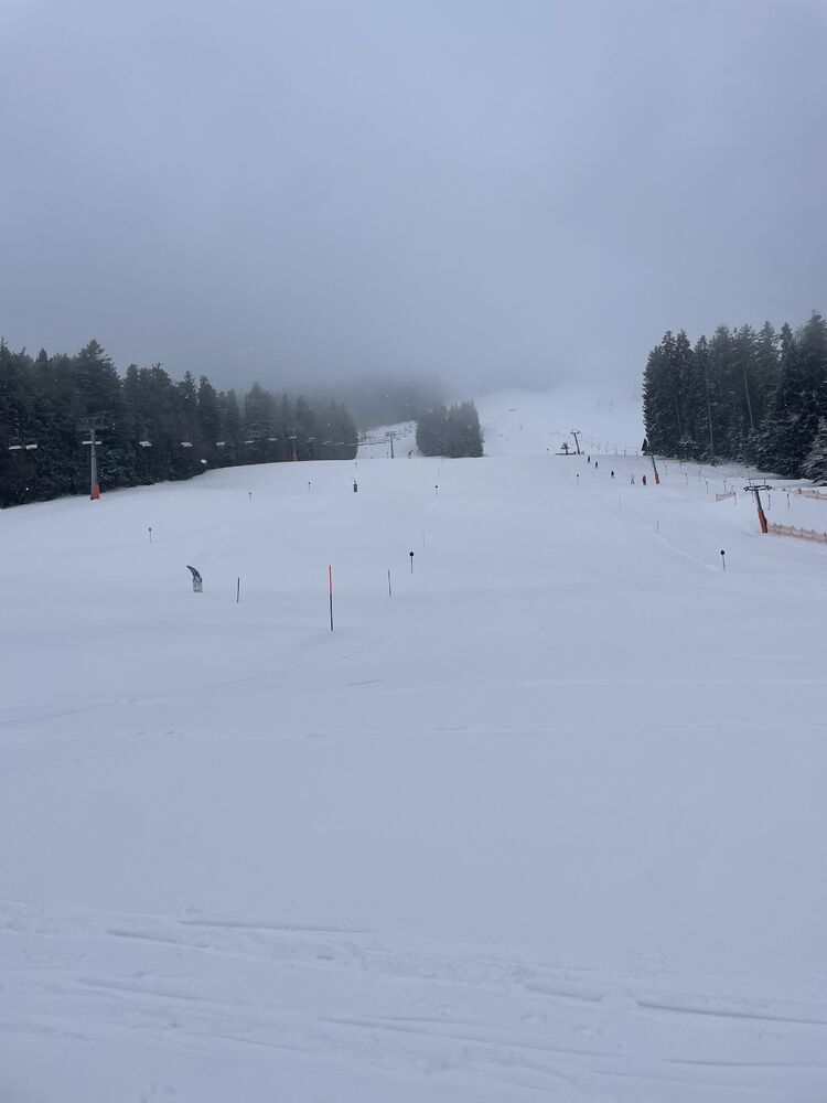 Live-update 157704