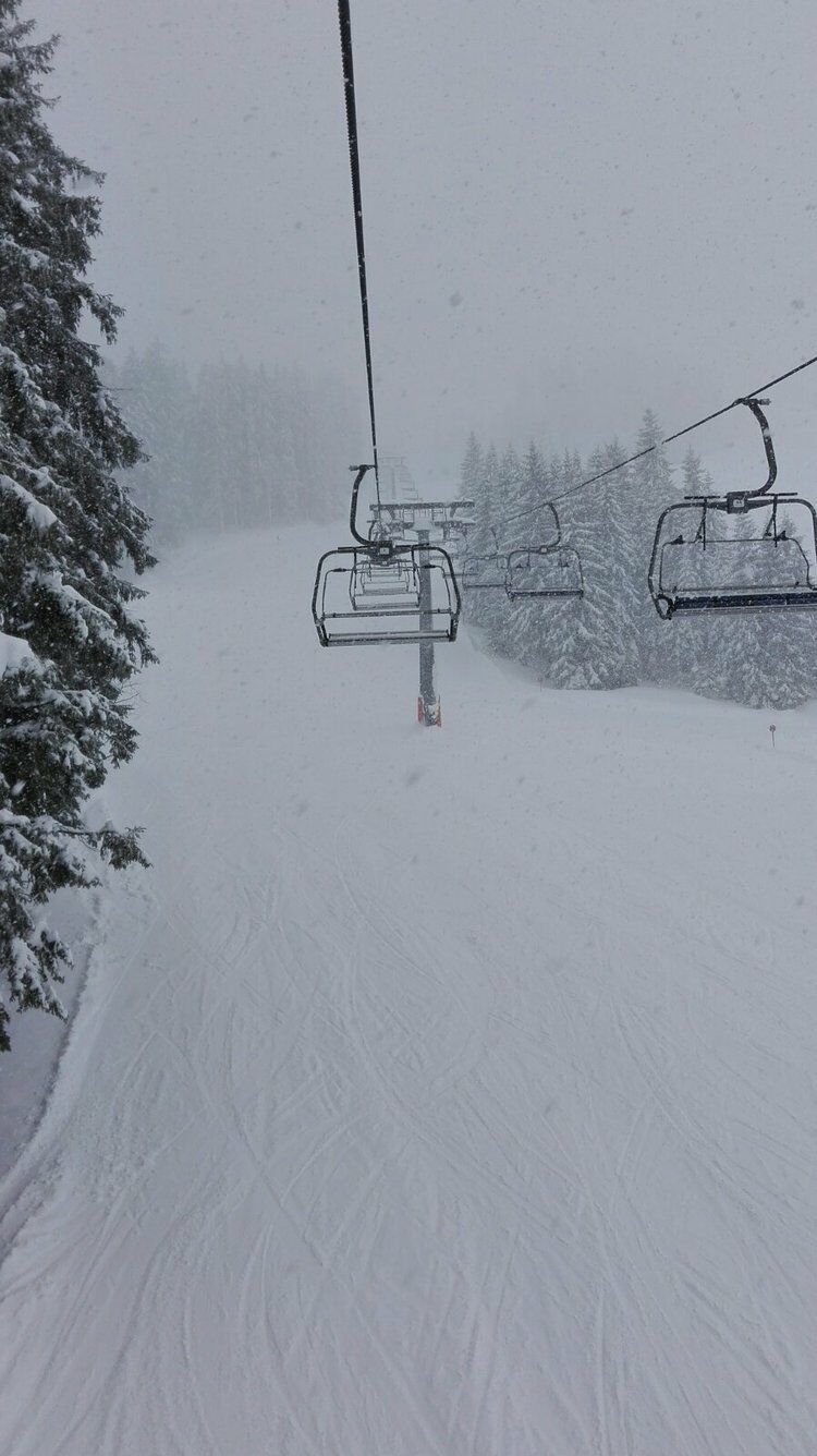 Live-update 71651