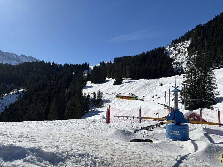 Live-update 158232