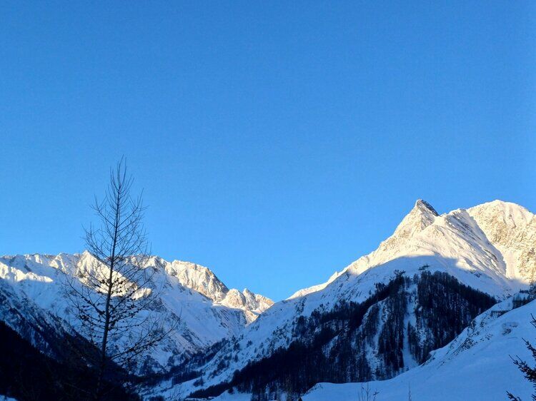 Live-update 153416