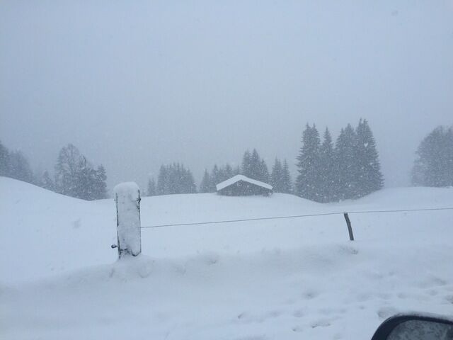 Live-update 26167