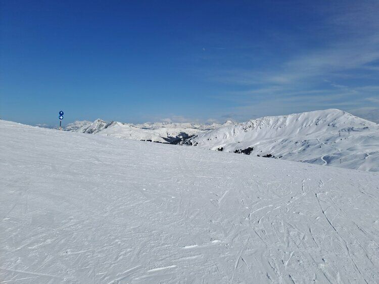 Live-update 135460