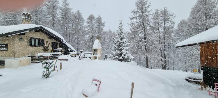 Live-update 135642