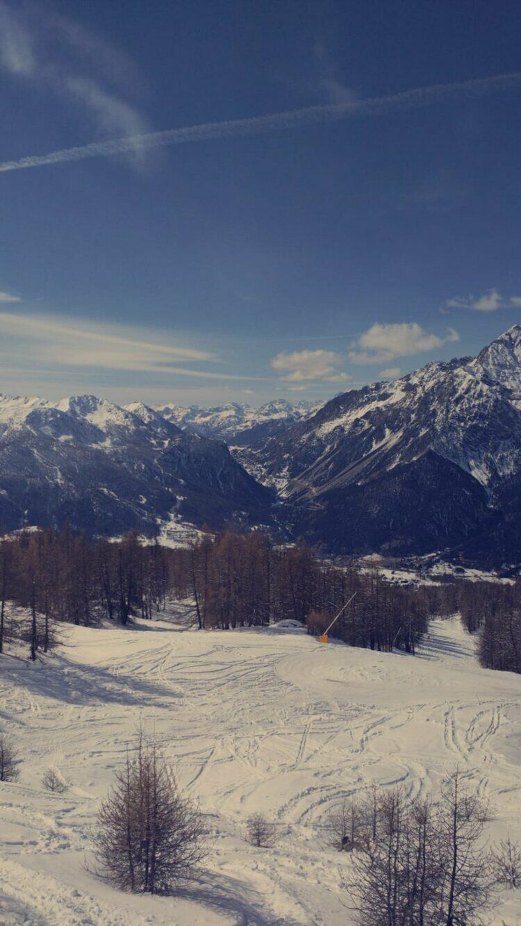 Live-update 135937