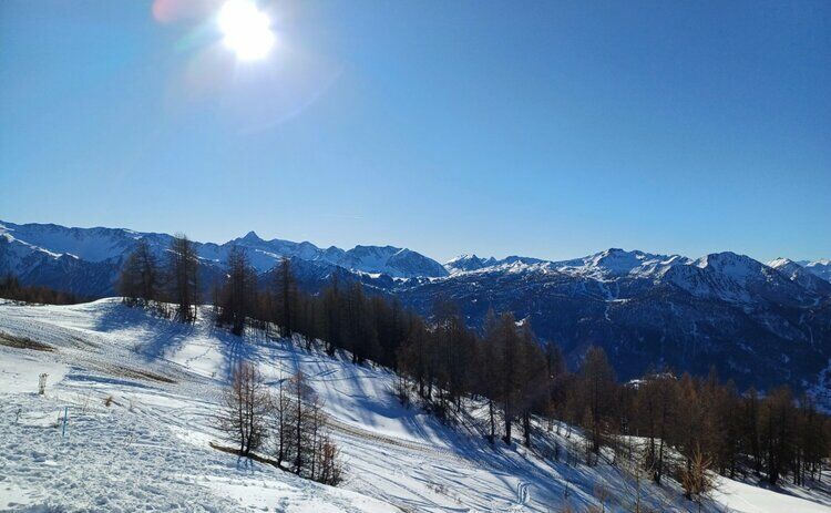 Live-update 152317