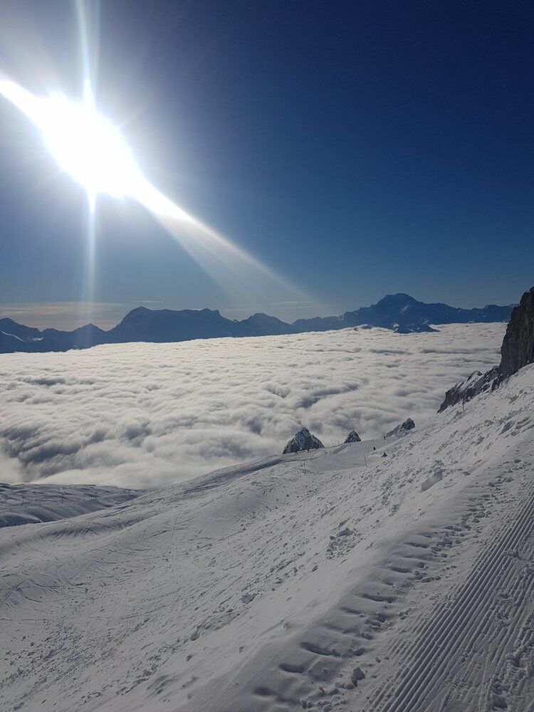 Live-update 91749