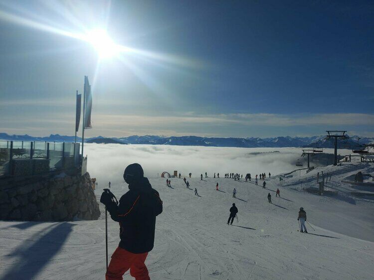 Live-update 135541