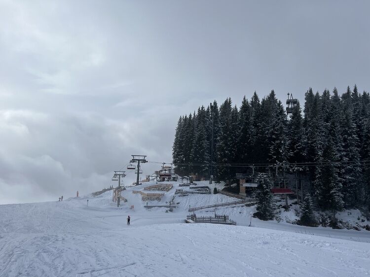 Live-update 158883