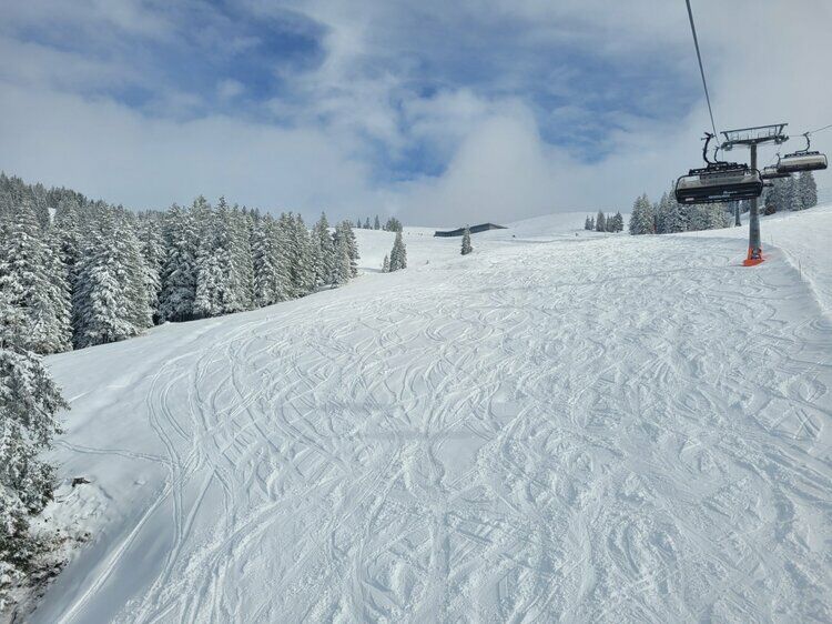 Live-update 159007