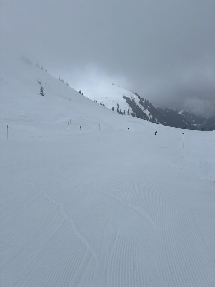 Live-update 159573