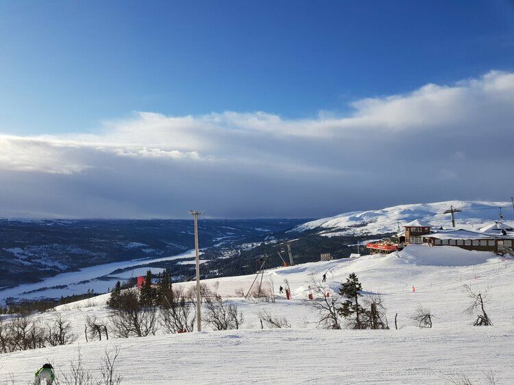 Live-update 121624