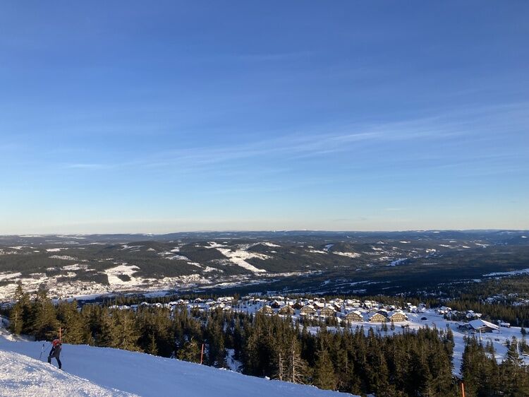Live-update 134885