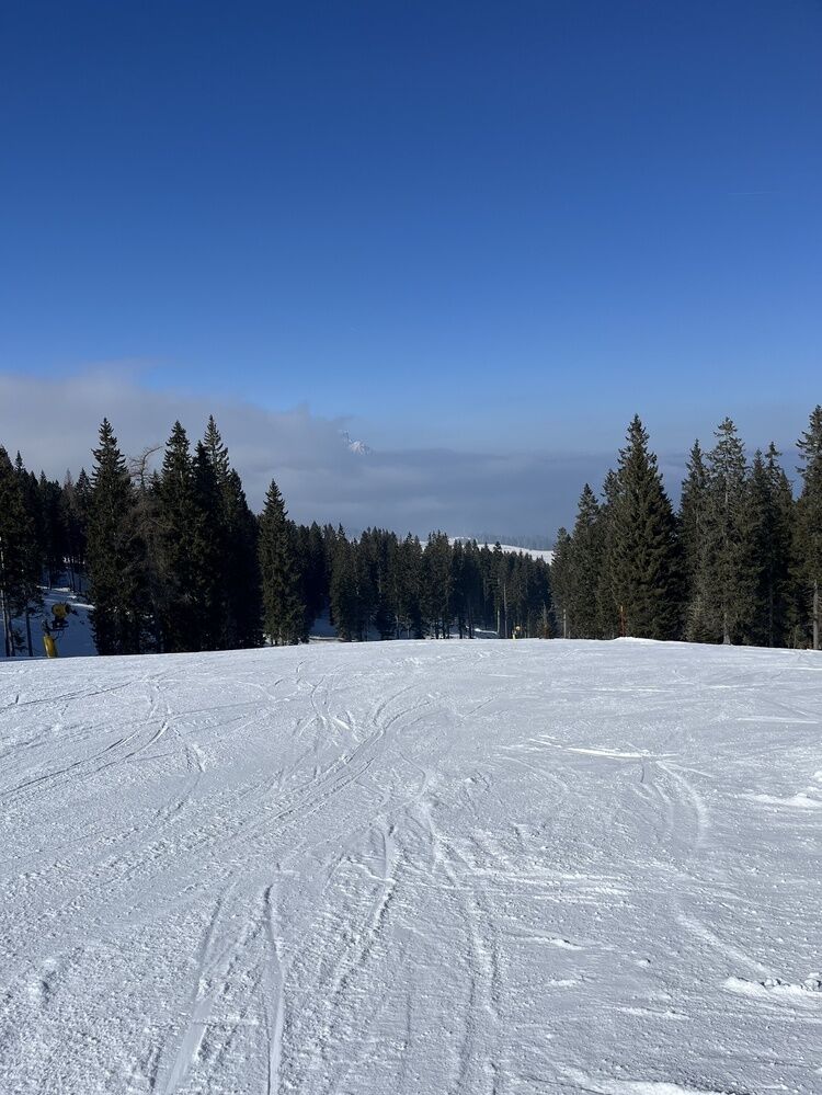 Live-update 156721