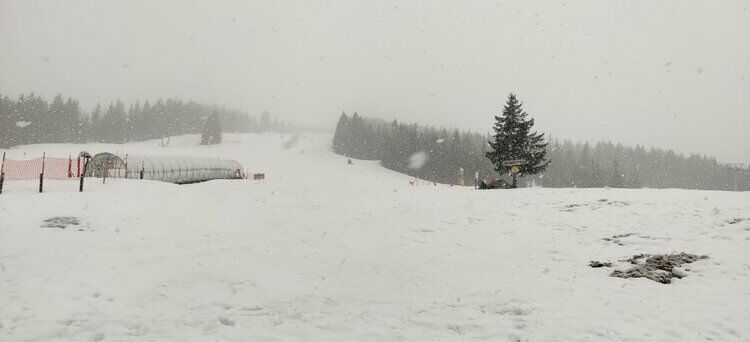 Live-update 137793
