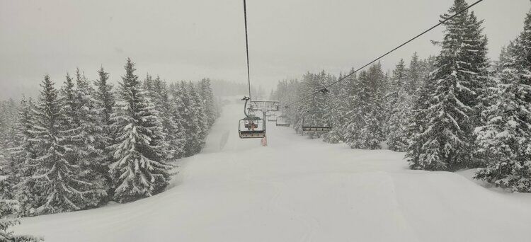 Live-update 137850