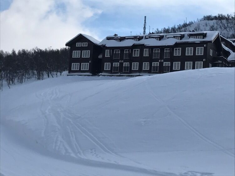 Live-update 83155