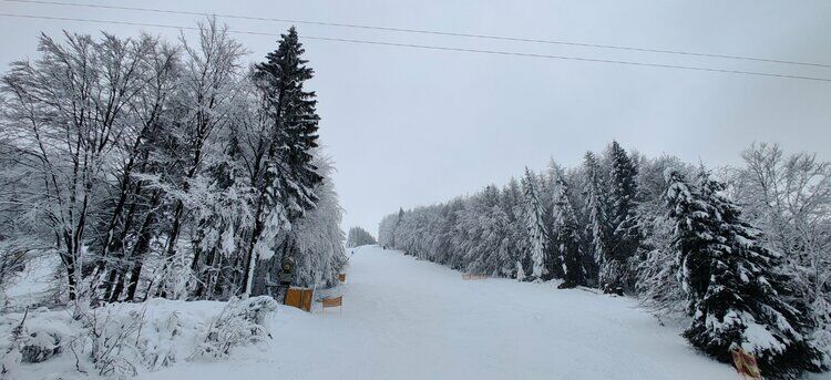Live-update 131666