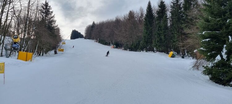 Live-update 154393
