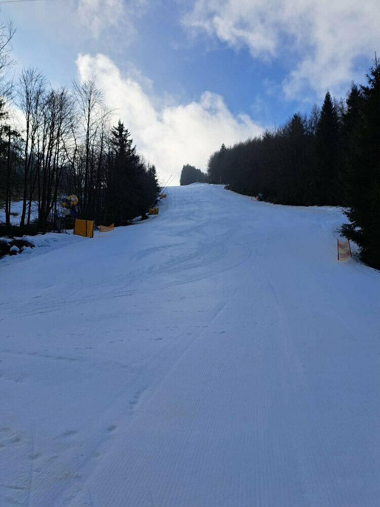 Live-update 157339
