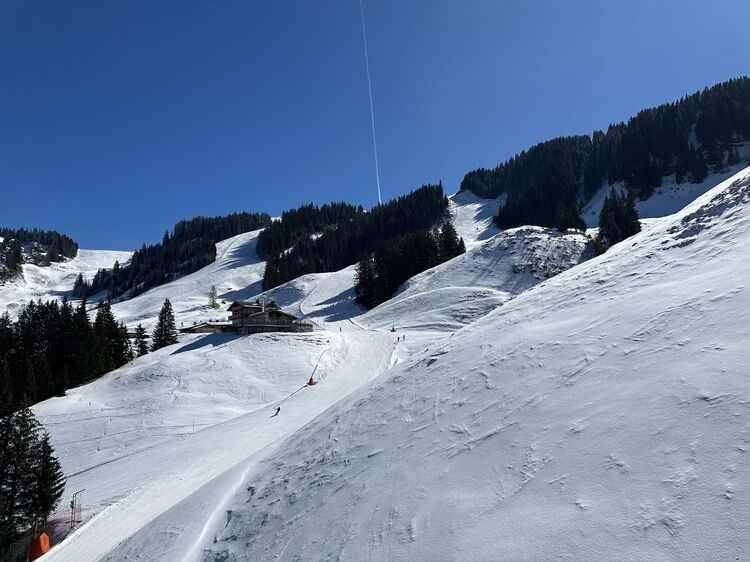Live-update 137272