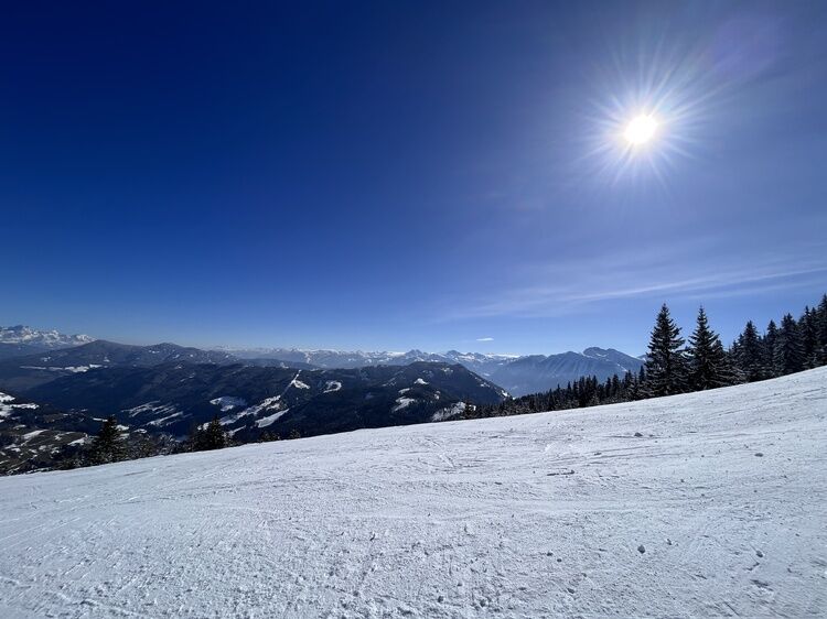 Live-update 135304