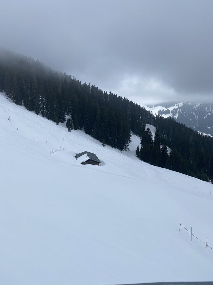 Live-update 135925