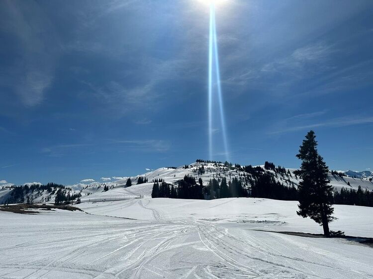 Live-update 137614